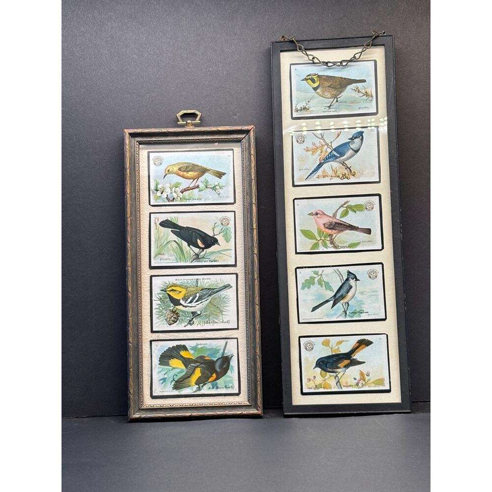 Vintage 1922 Arm & Hammer Bird Trade Cards Framed Set M.E. Eaton Wall Art